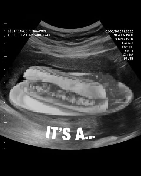 [NEW] We’ve got a bun in the oven… 🥪🤰⁠
And it’s golden, toasty, and generously filled.⁠
⁠
Meet our NEW Hot Sandwiches, fresh off the grill and ready to satisfy your mid-day cravings - each served with a side salad:⁠
⁠
🥑 Chicken & Guacamole Panini⁠
🍳 Truffle Mushroom Scrambled Egg Panini, Meat-Free⁠
🔥 Cheesy Pulled Beef Sourdough⁠
🧀 Triple Cheese Baguette, Meat-Free⁠
⁠
Available at all Délifrance outlets and on @grabfoodsg, @foodpandasg, and @deliveroo_sg