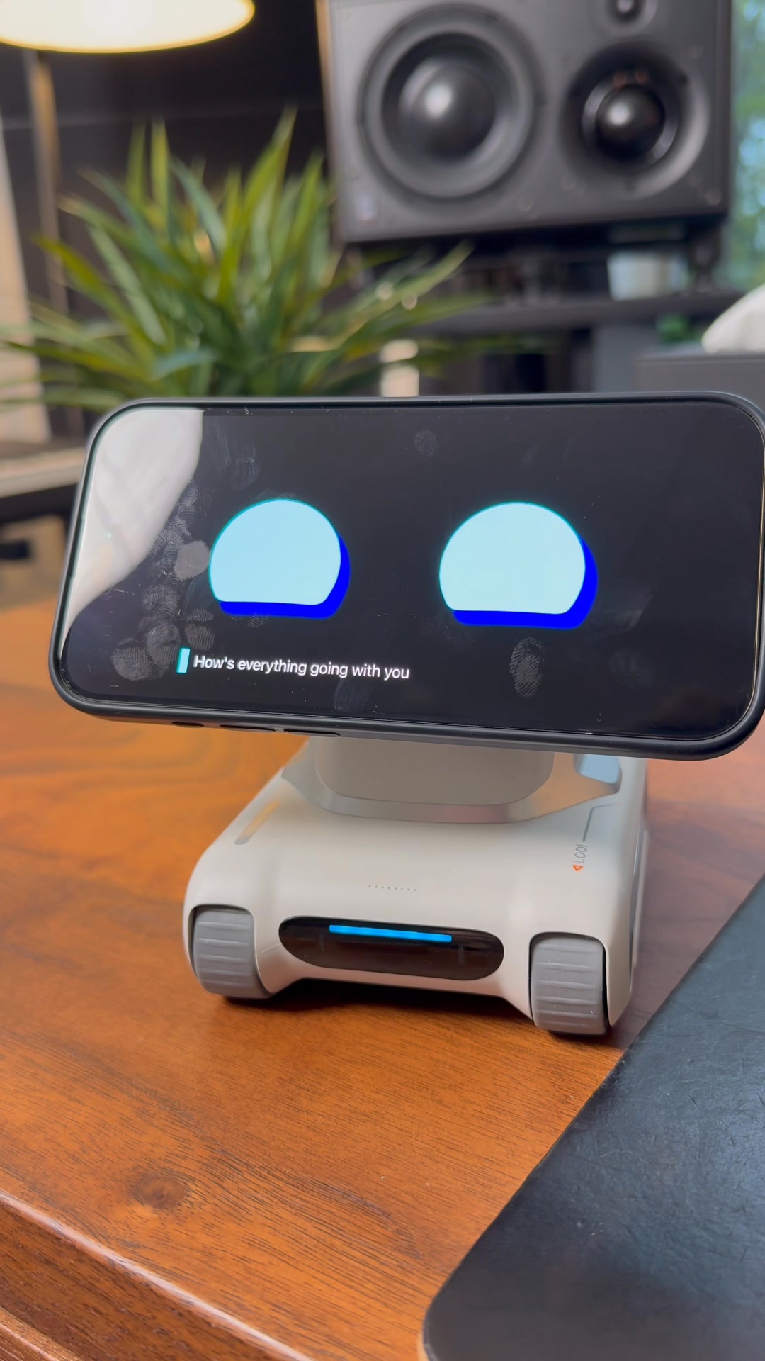 🎄 Christmas Sale - $30 OFF 🎁