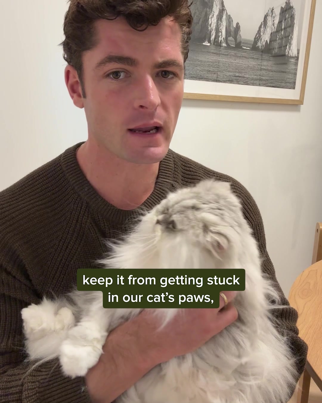 This cat litter is AMAZING