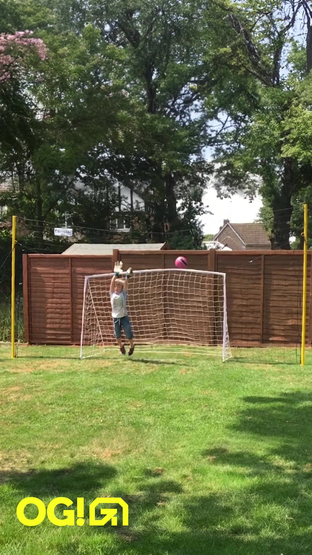 Read Reviews ⭐⭐⭐⭐⭐