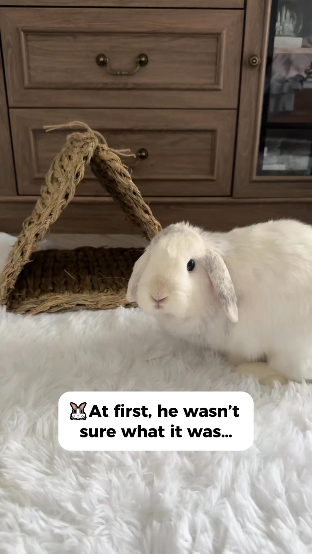 Natural Fun for Busy Bunnies 🌿