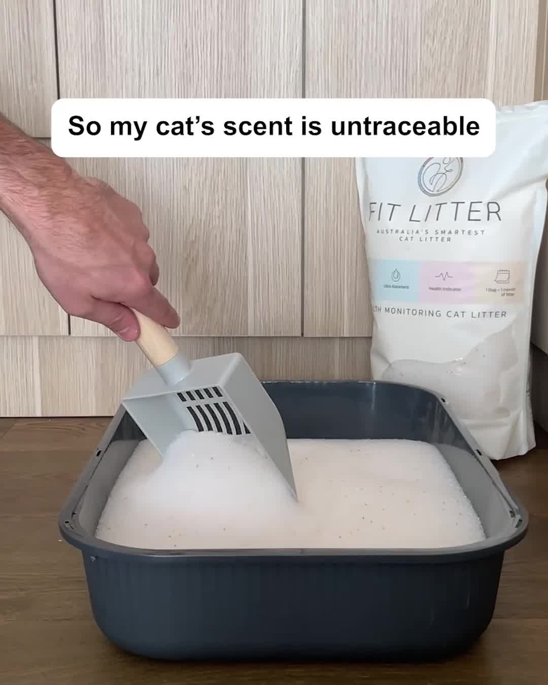 Try Risk-Free Today🐈