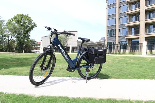 Christmas Special Offer