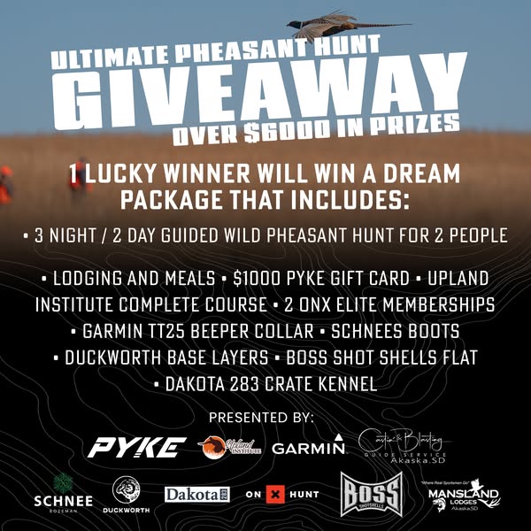 Click the link below