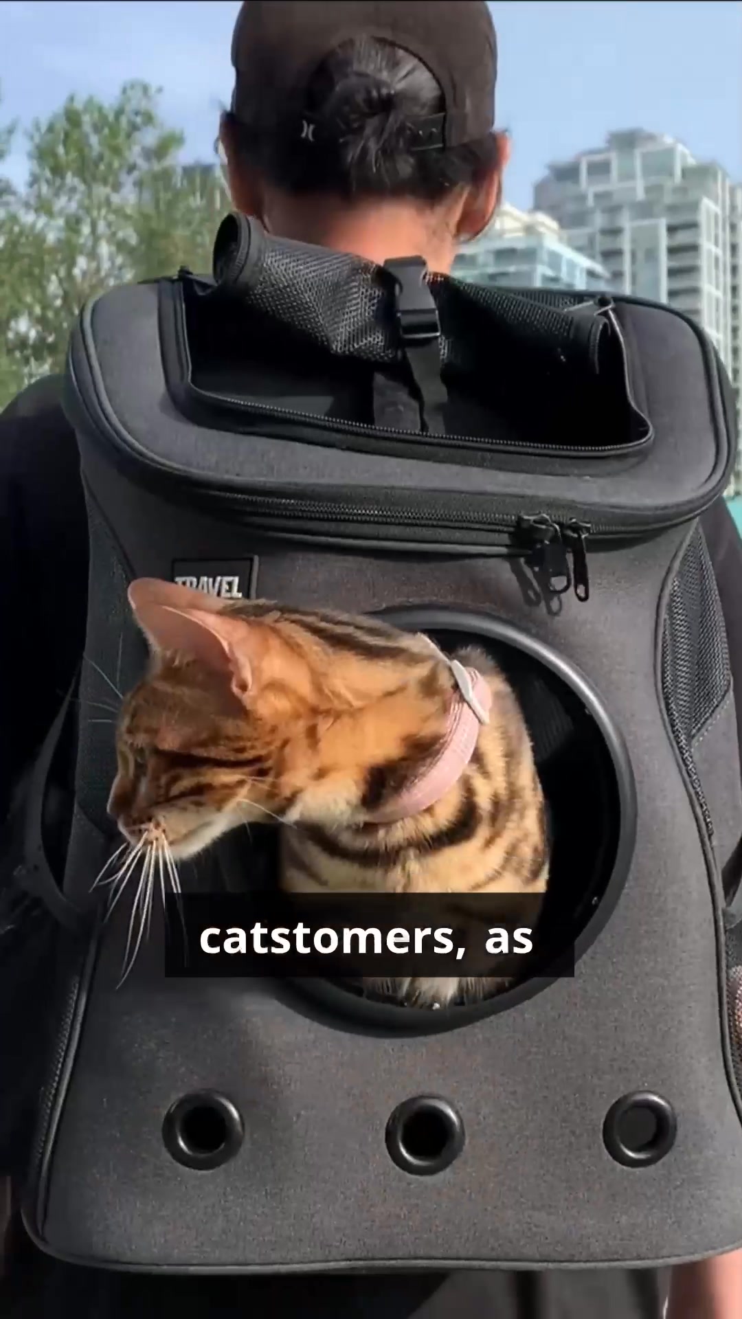 Built by Cat People, for Cat People