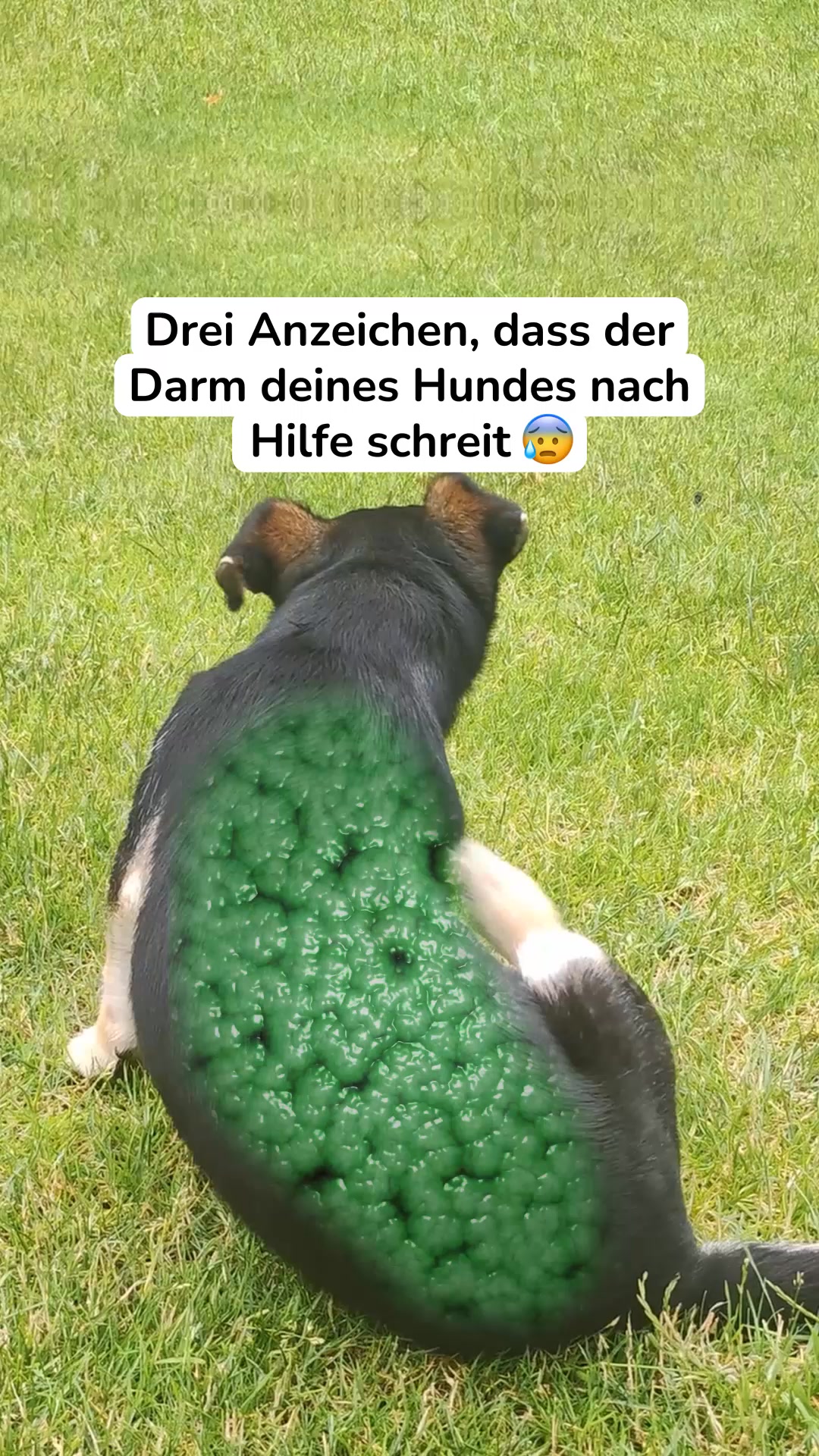 Jetzt Vorteils-Paket holen 👉