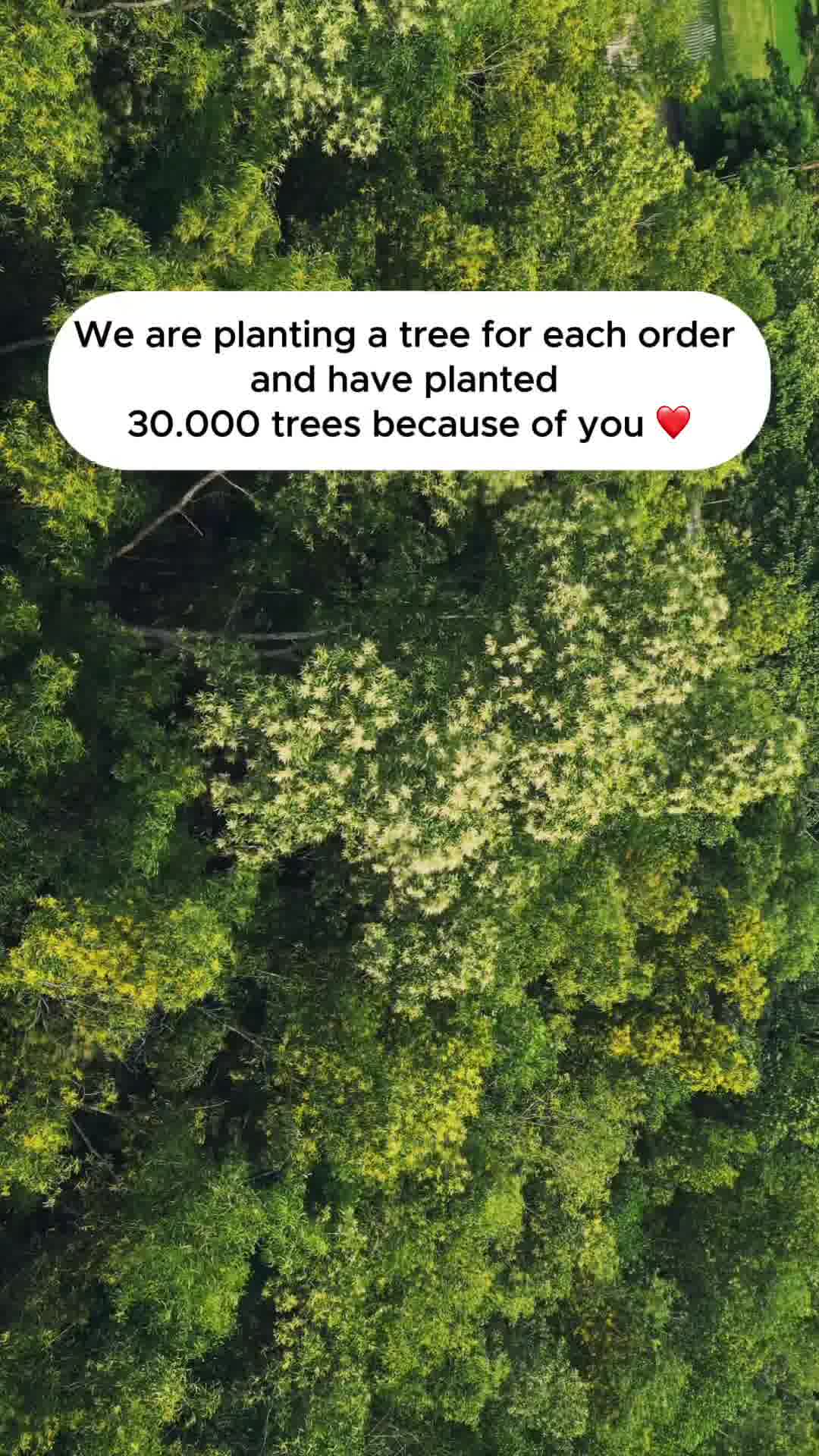 Early Gifting Season Sale! (Limited Stock)