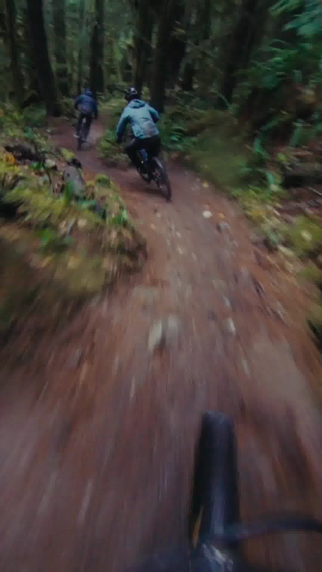 Saris Edge Hitch Rack