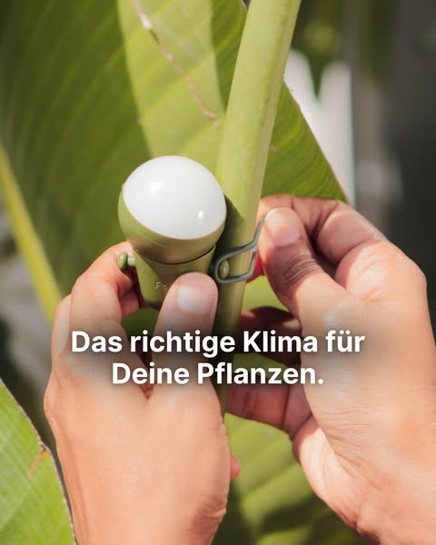 FYTA - Die smarte Pflanzenpflege