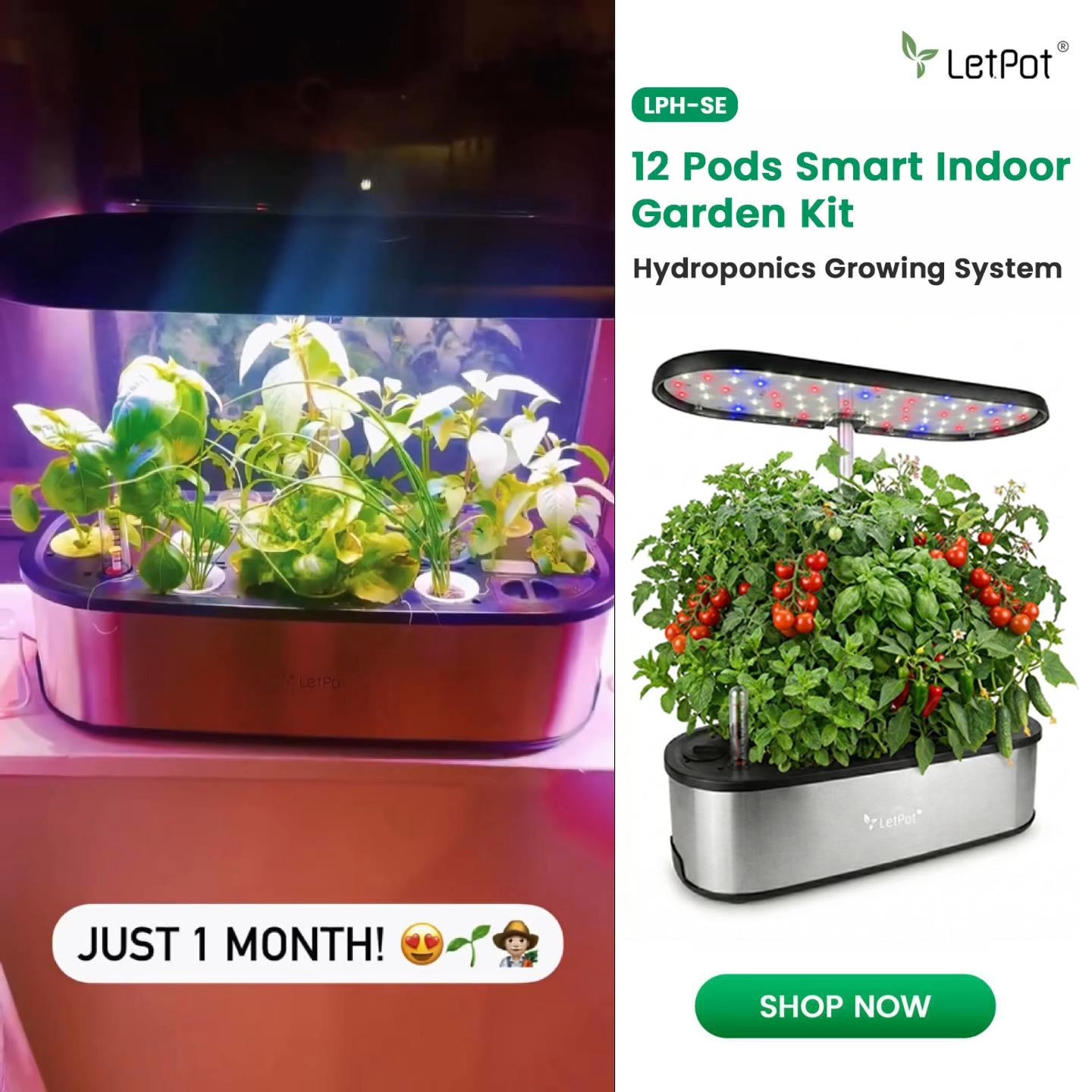 🪴Grow Smarter, Grow Fresh