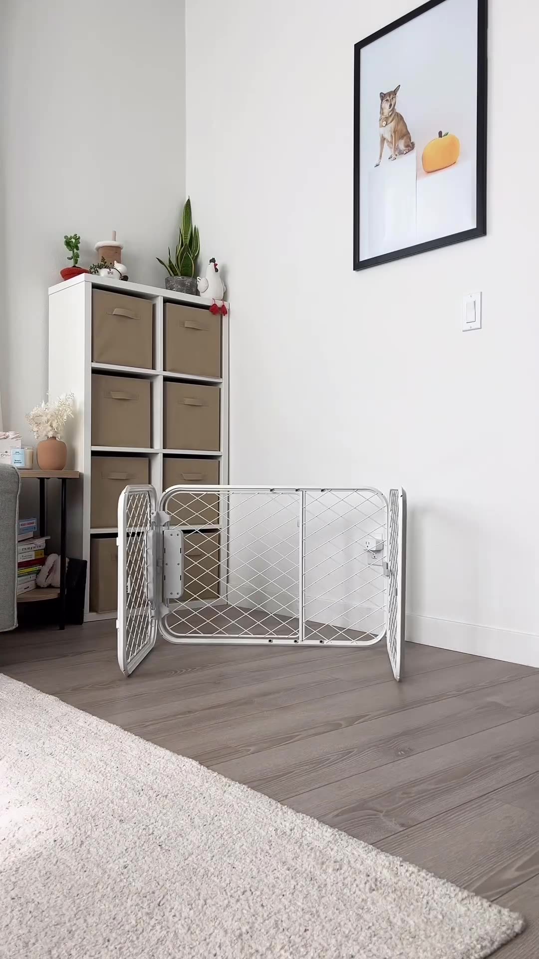 Meet the Evolv Crate