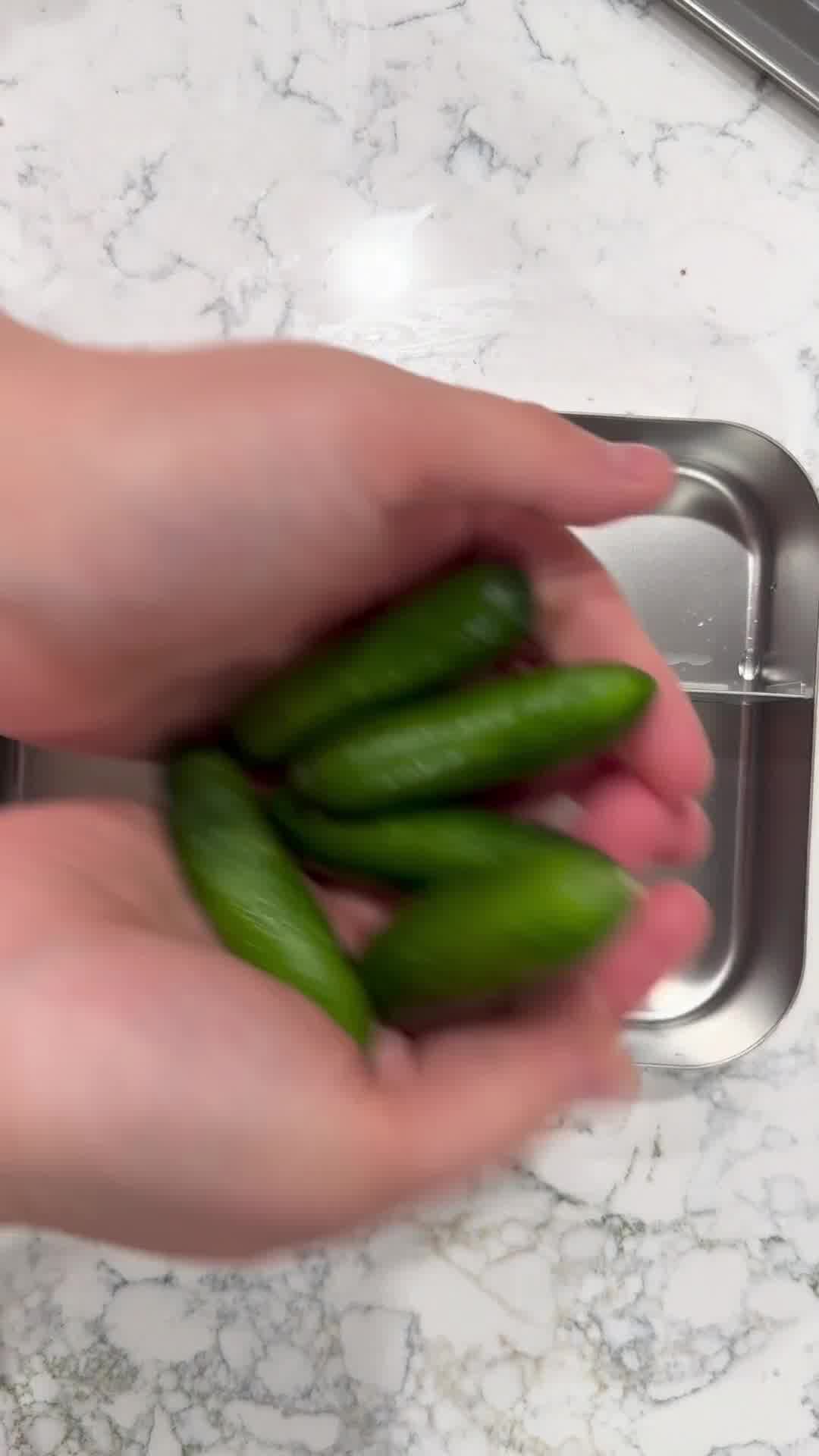 The Stainless Steel Lunch Revolution