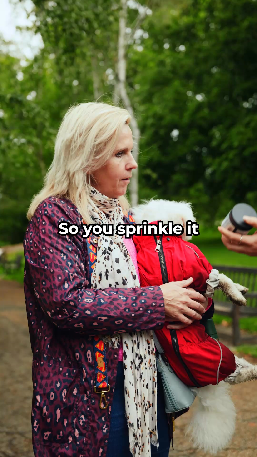 Vet-recommended tooth cleaning that actually works