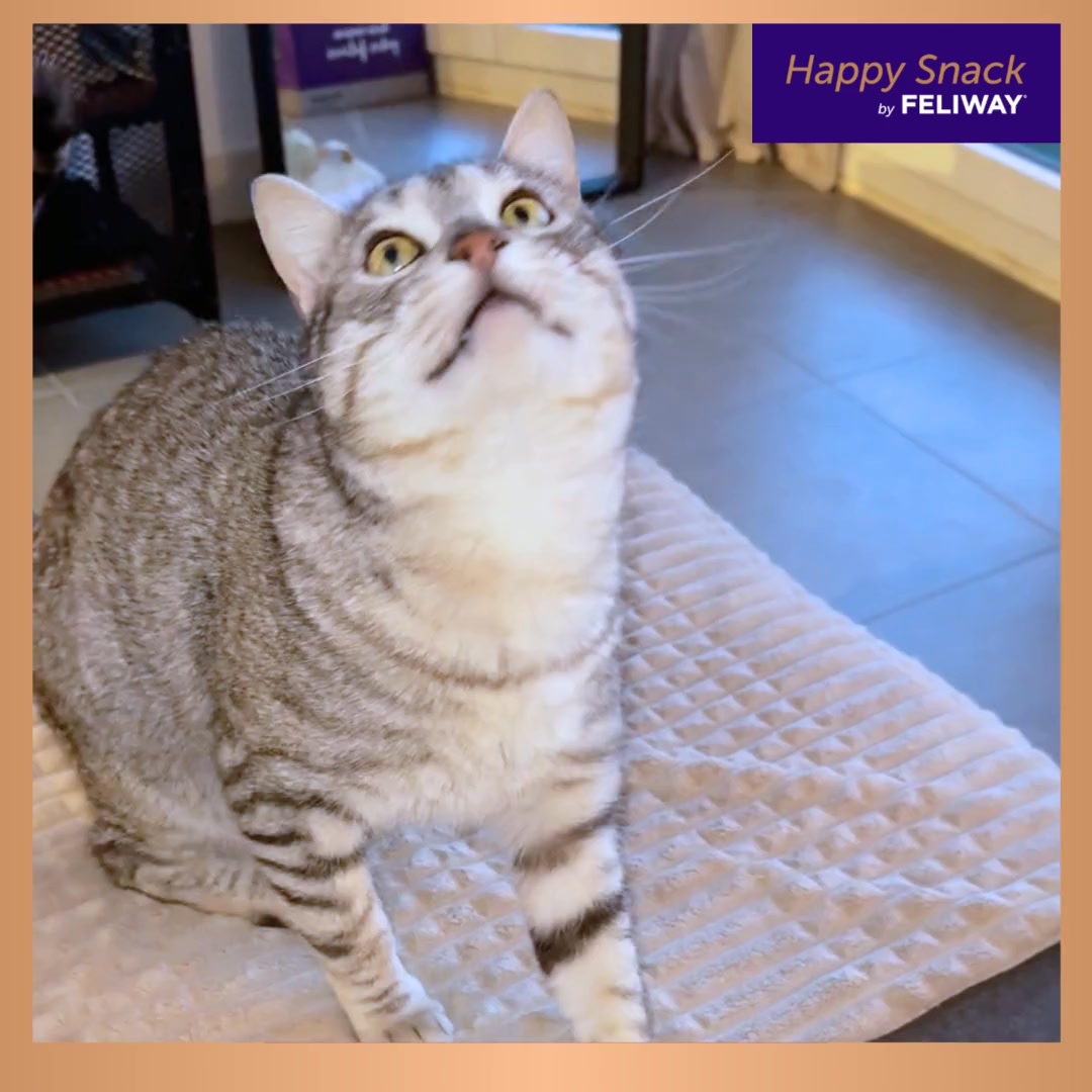 FELIWAY