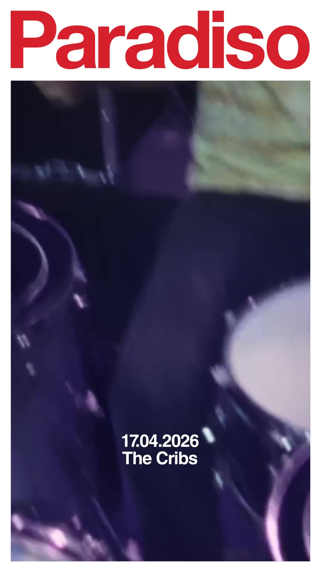 The Cribs in Tolhuistuin