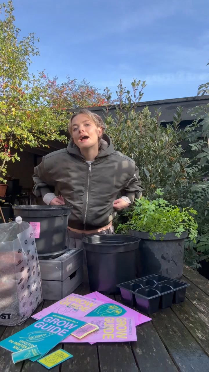 TRY A BOX THIS MONTH 🤠