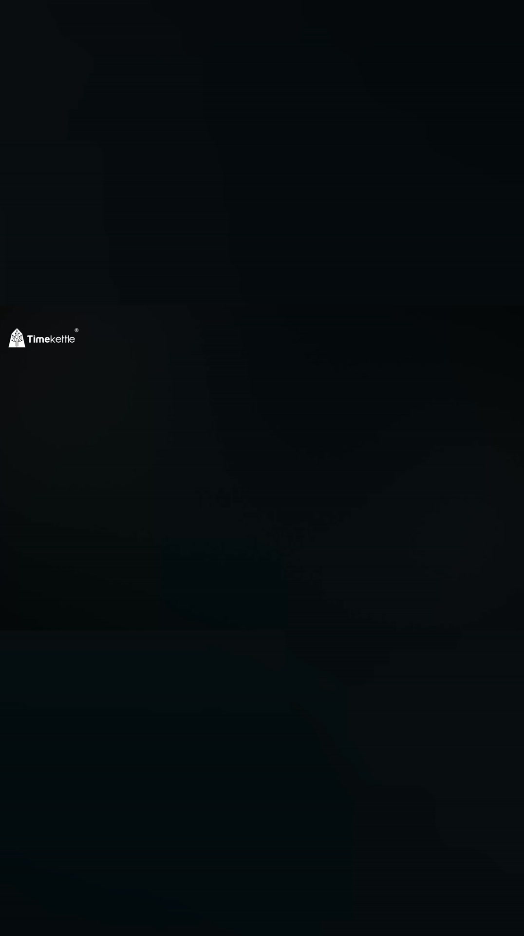 Professional Translation for Global Ecommerce