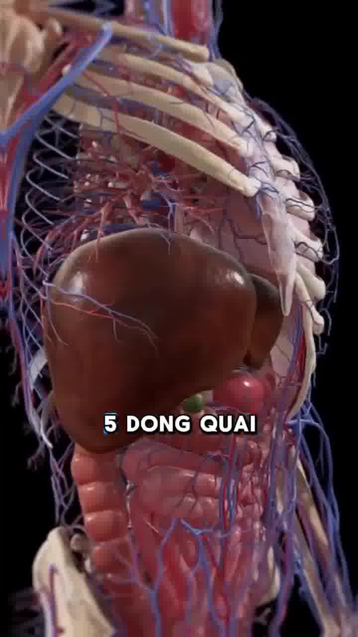 If you want to reverse fibroids, leave a message ‘shrink’ below

Understanding the root cause, goes a long way in overcoming fibroids. It’s typically a viral or bacterial pathogen that is fuelled by exogenous hormones. With that knowledge we can put the herbs together that support your body to heal naturally. It also lets you know what to avoid, to avoid making the situation worse, eggs, dairy, pork, red meat and gluten as they all feed EBV and streptococcus

#fibroids #pcos #womenshealth #femalewellness #naturalhealing #uterinefibroid #reproductivehealth #sexualhealth