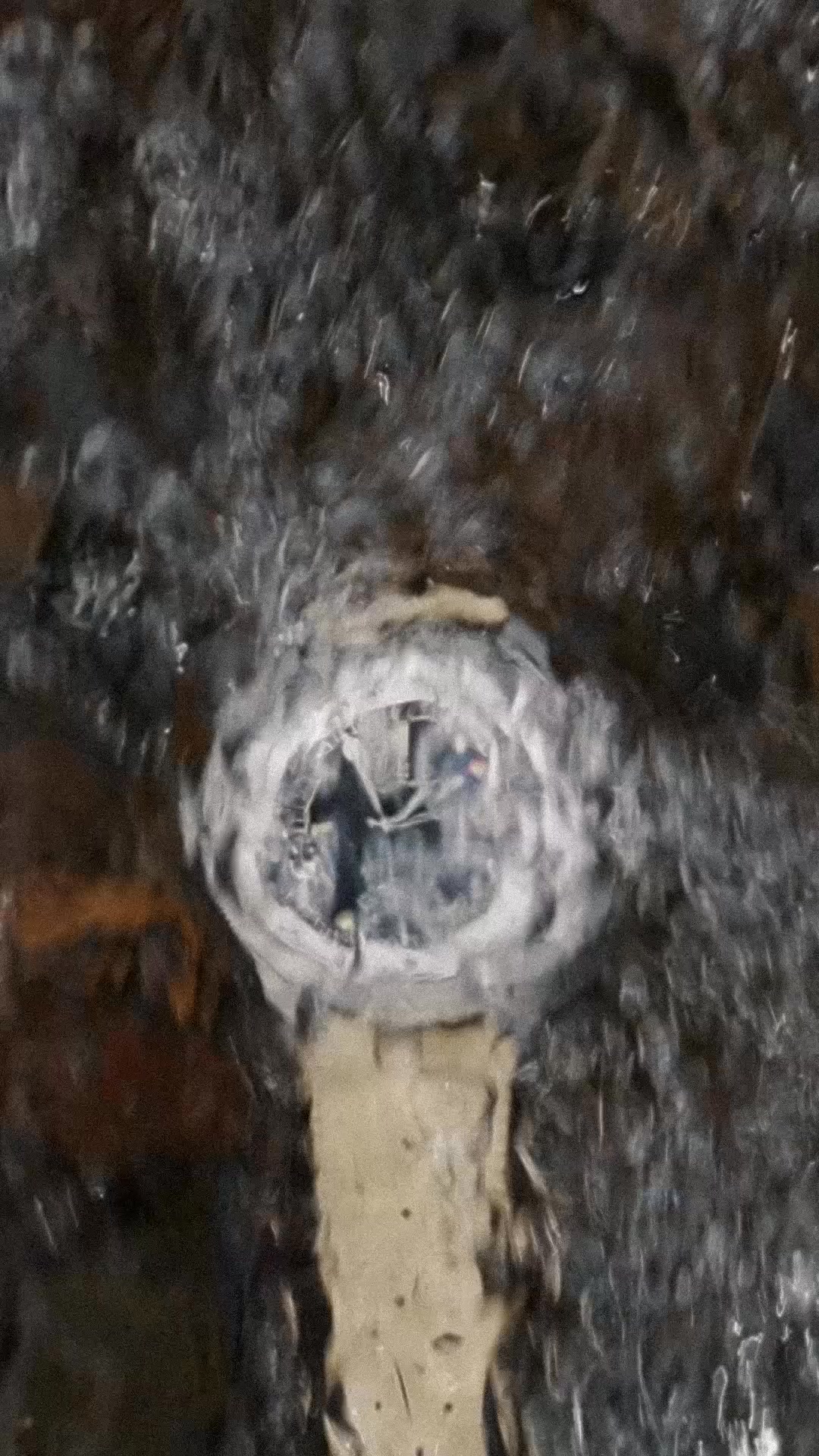 The VERO X REALTREE Tide Tracker Watch