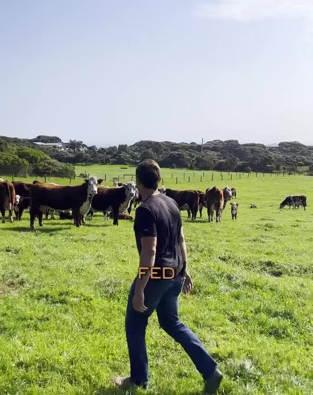 Eat like a human. Thrive.