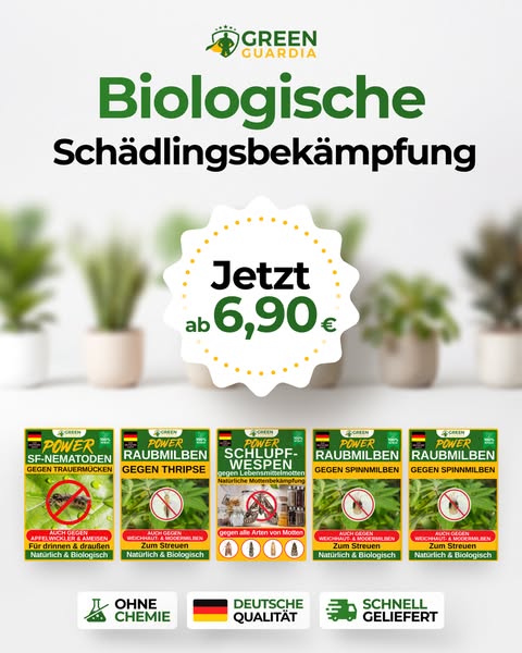 Natürlicher Schutz vor Schädlingen – wirksam & umweltfreundlich 🌿