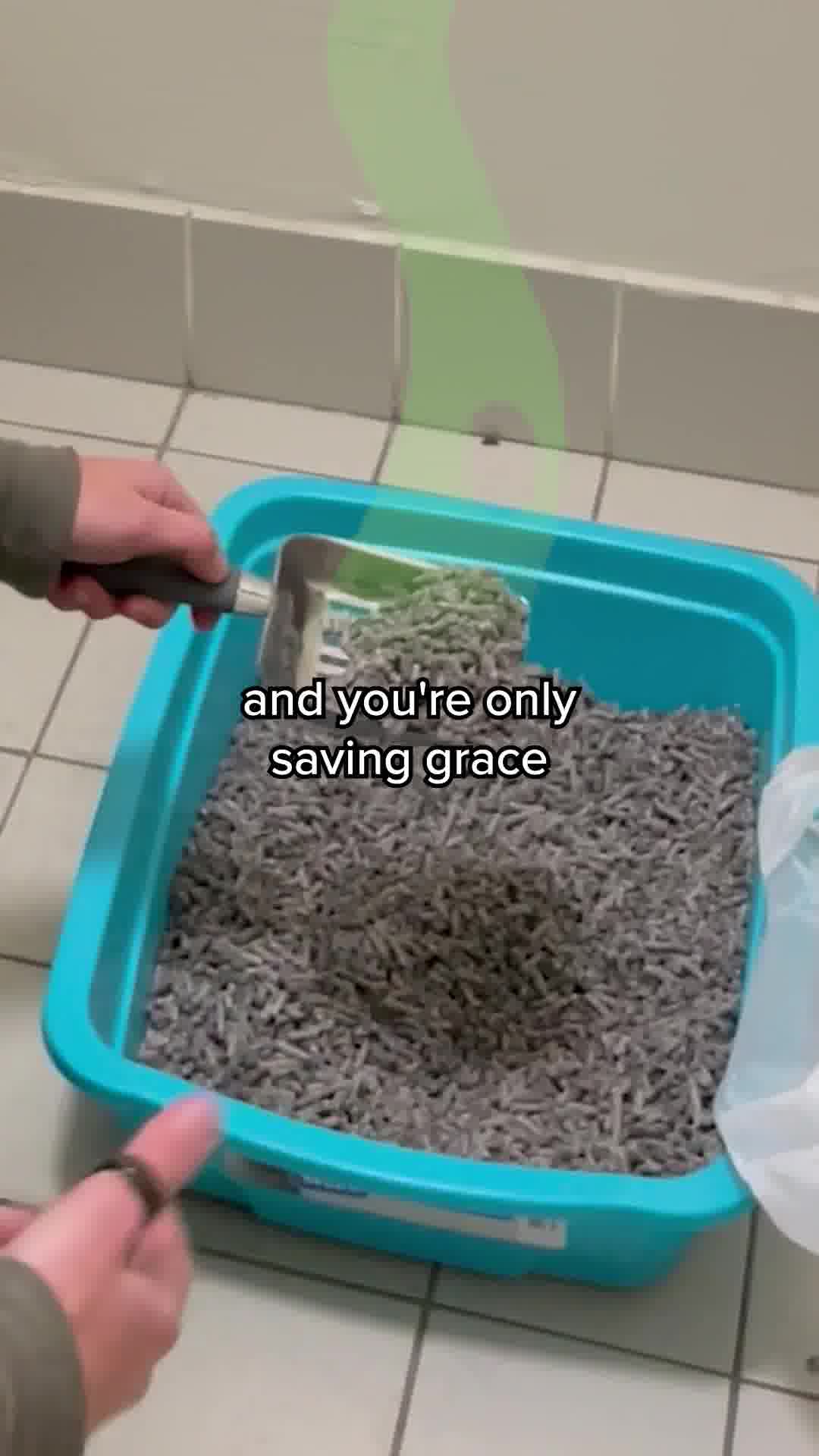 Try Risk-Free Today🐈