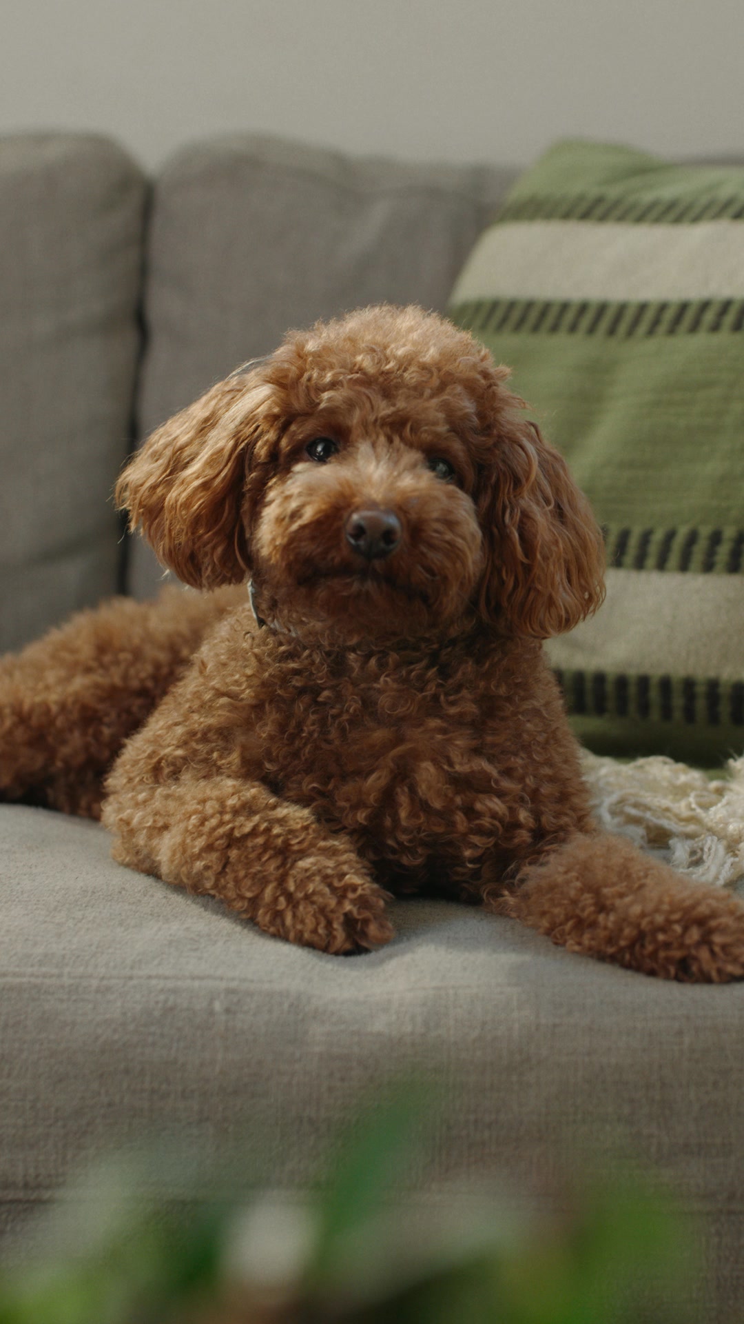 Real Food You Can Feel Good About