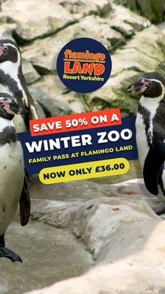 £36 for a full family zoo day 👀