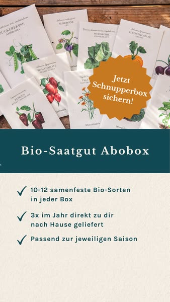 Deine Abkürzung zum Gartenglück 2026