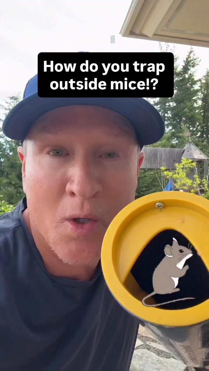 Clear Entire Infestations Overnight