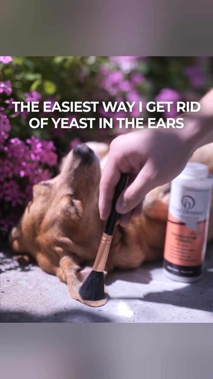 Coat Defense Ear Care