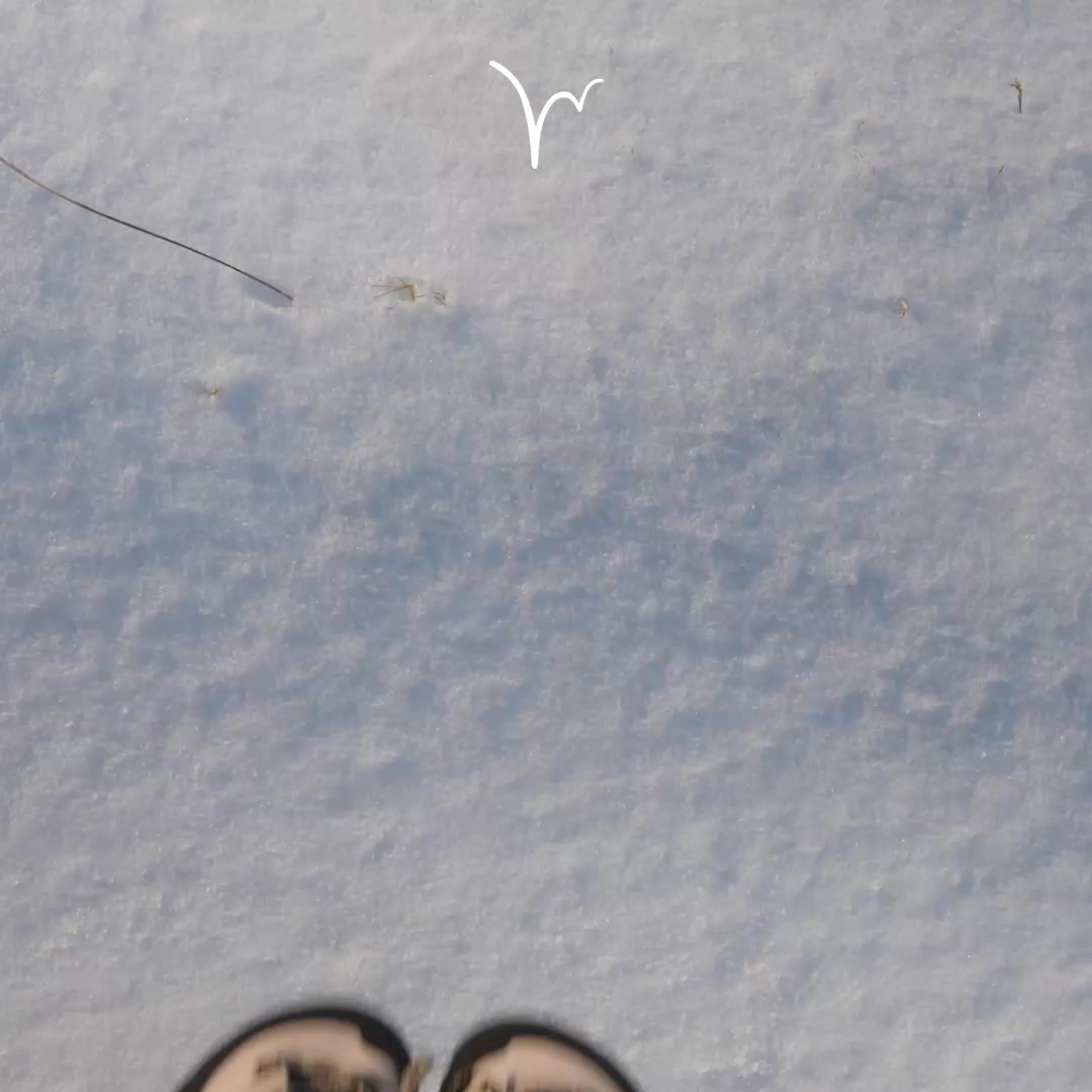 Strengthen Your Feet while you Walk