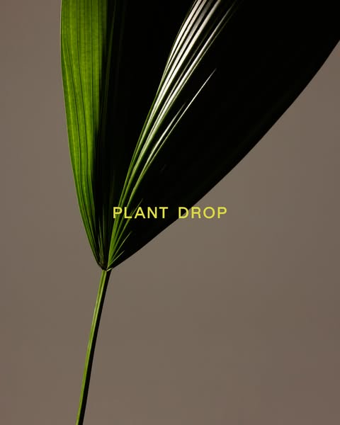 Plants That Last