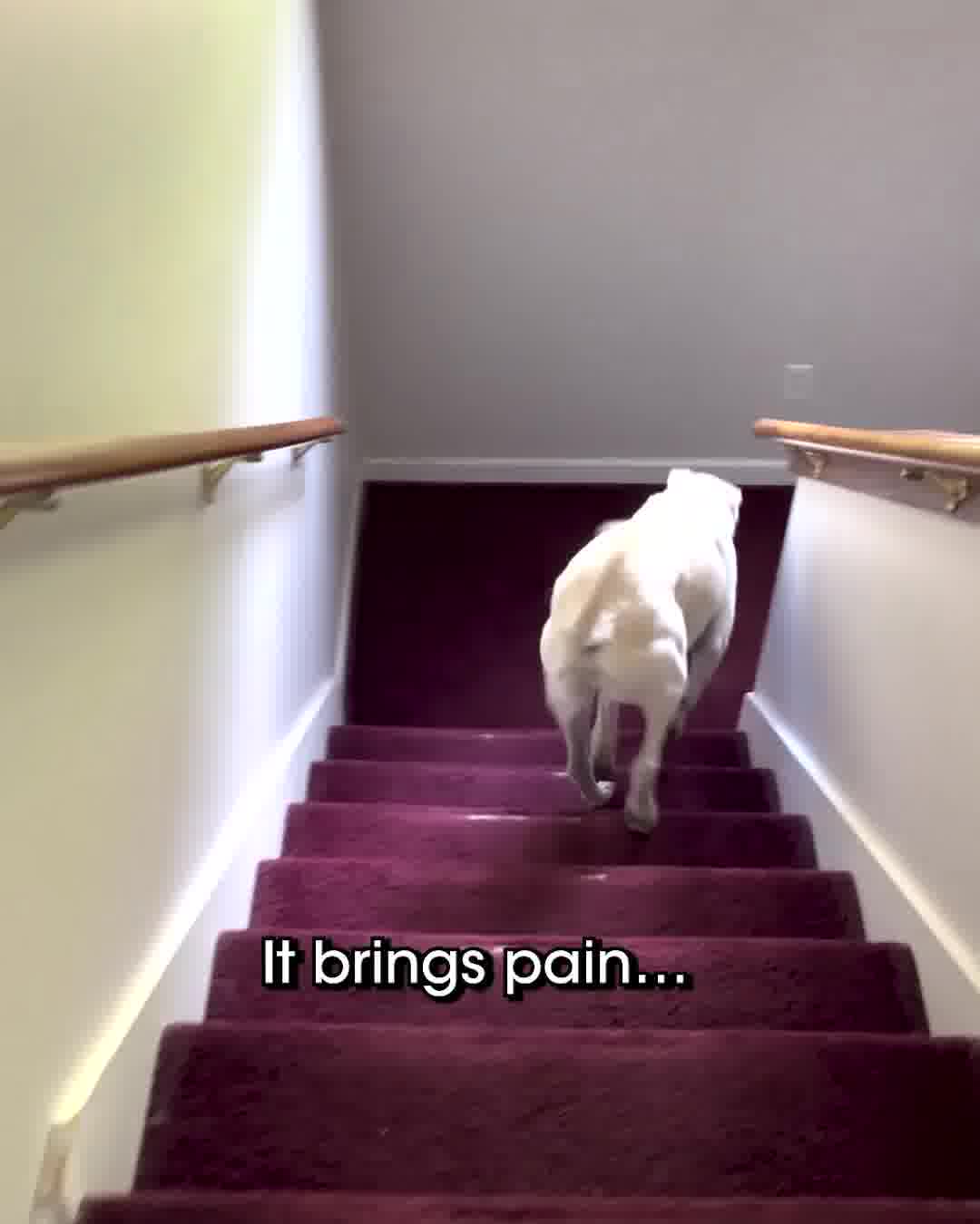 They finally found the right solution...