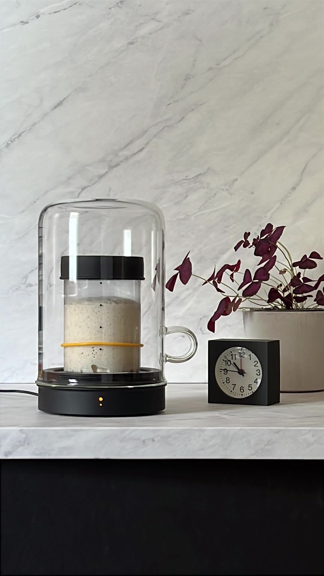 It’s Time To Bake with Goldie by Sourhouse