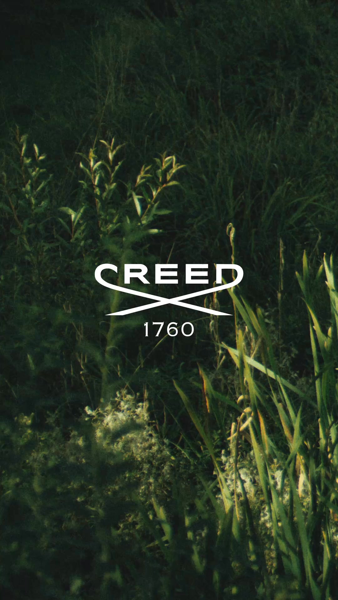 Creed präsentiert Wild Vetiver