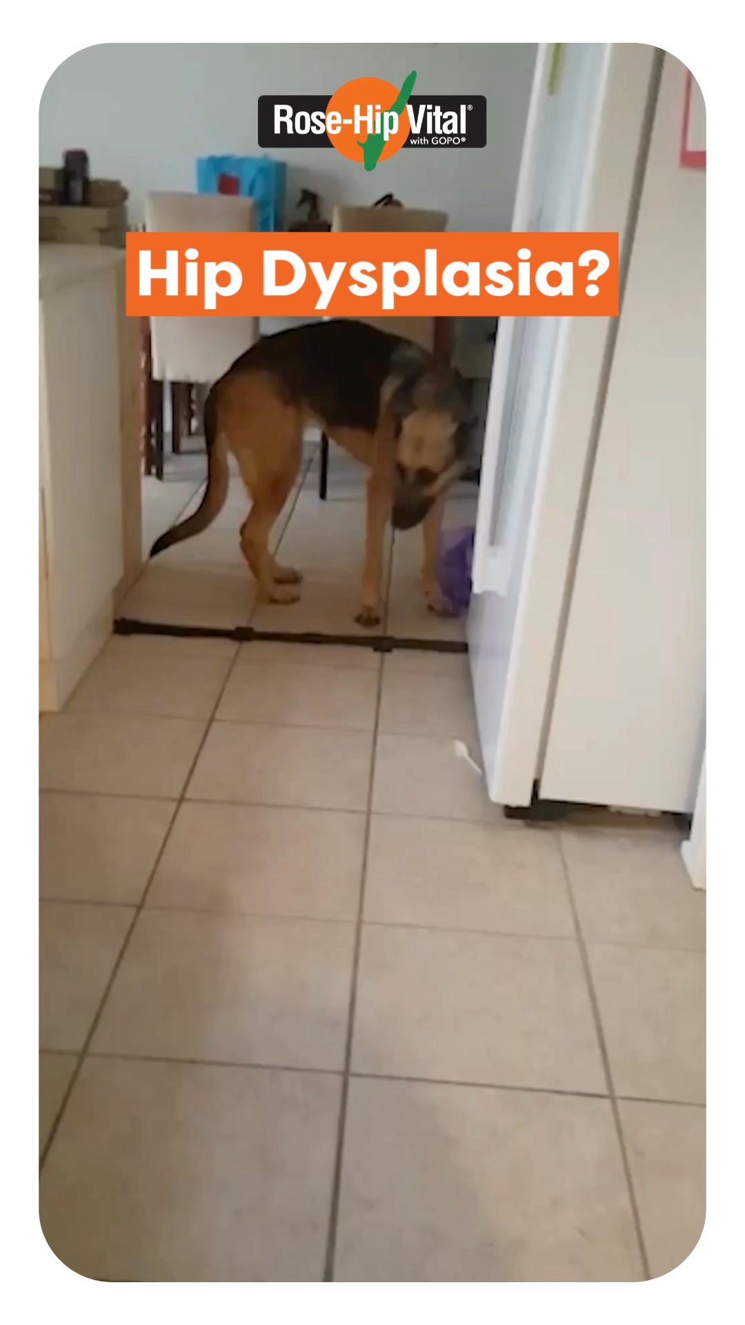 Save 50% + Free Shipping