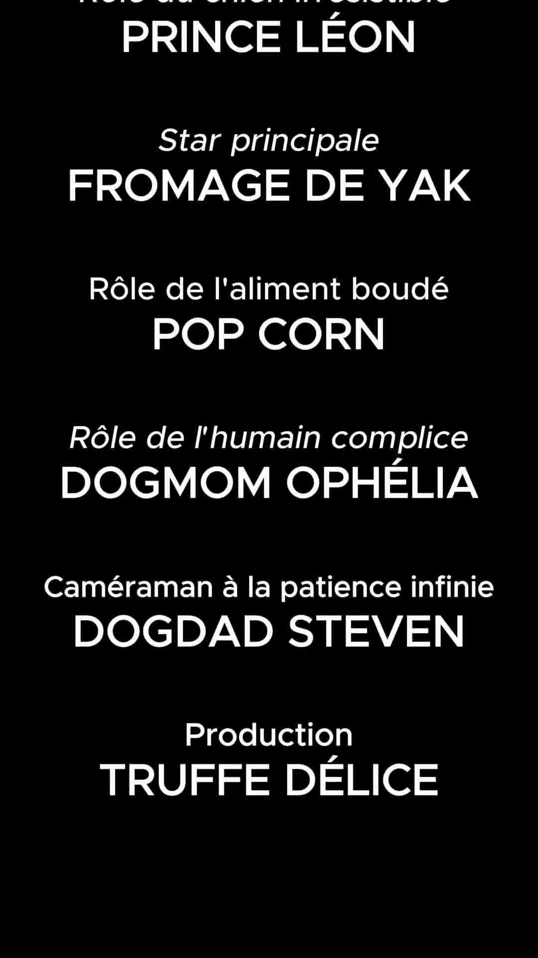 -10% AVEC LE CODE : WOOF-10 🤩