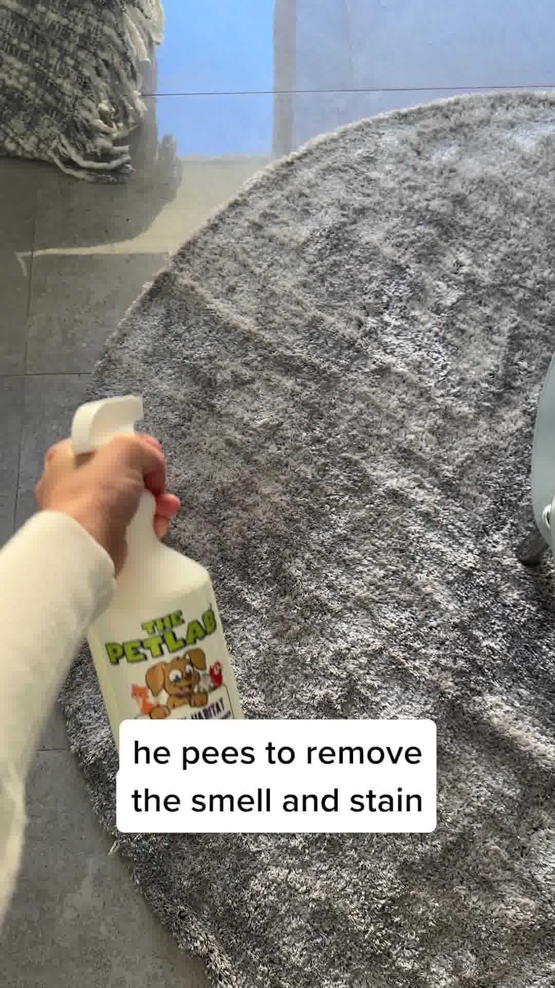 Love Your Dog But Hate The Urine Smell? 😖