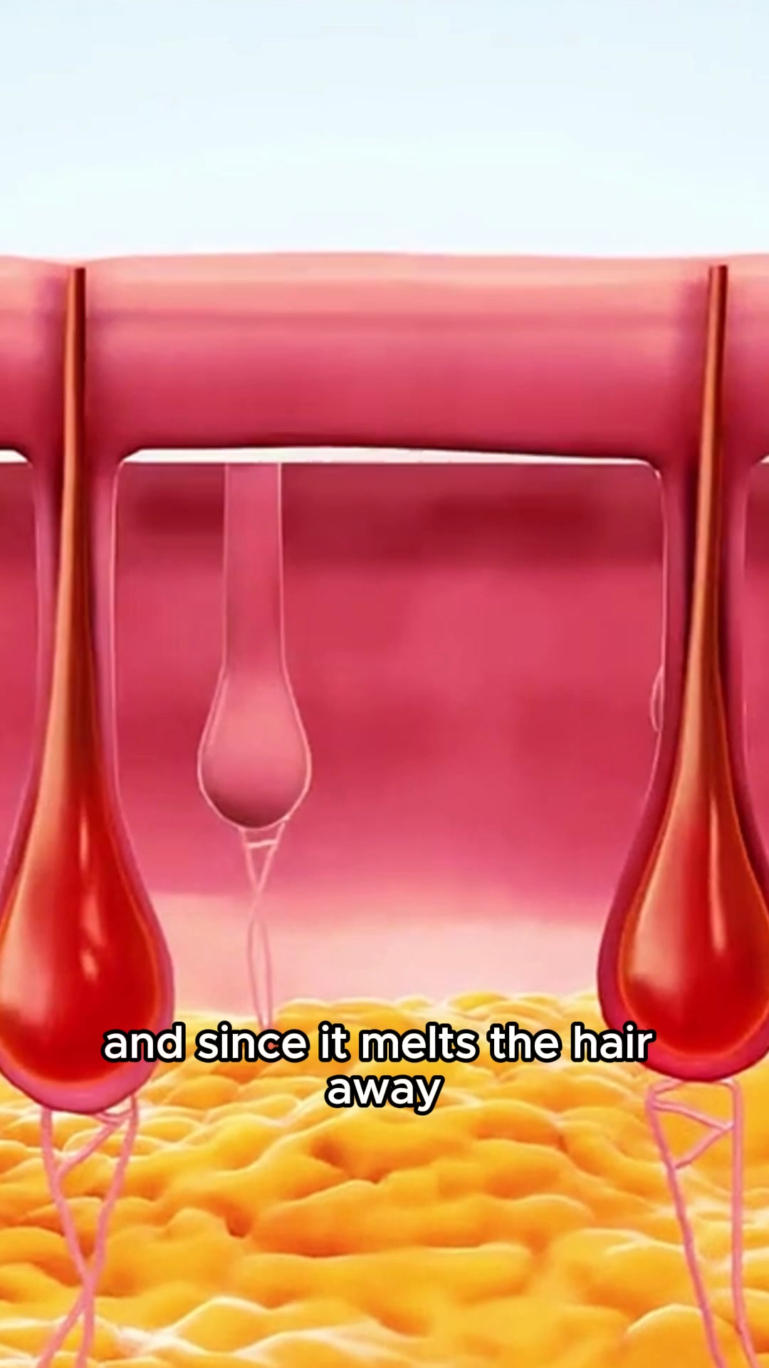 Free Gift for the next 100 orders