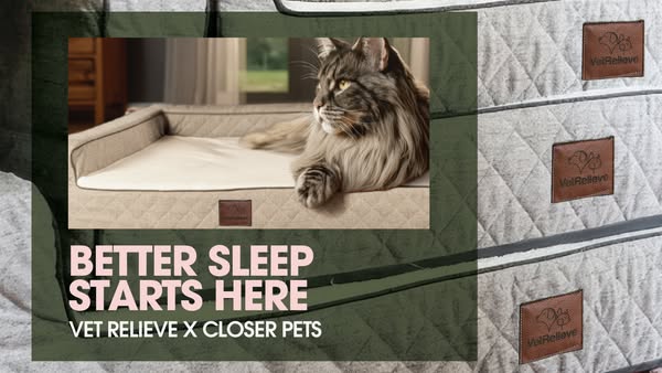 A Better Bed for Better Cat Naps.