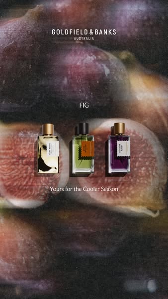 FIG. FIRELIGHT. WOODS.