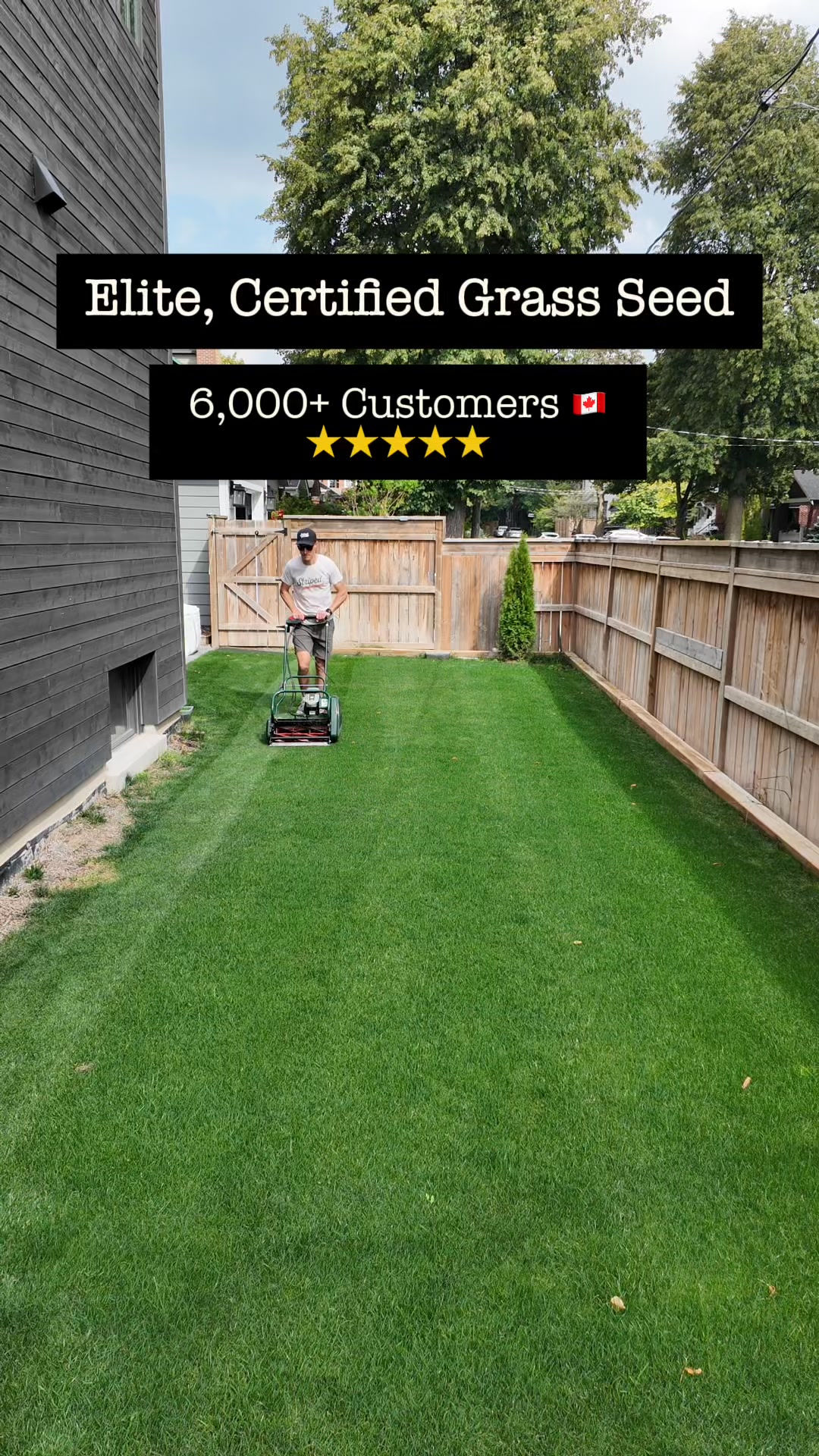Canada’s Top Choice for Dark Green Lawns