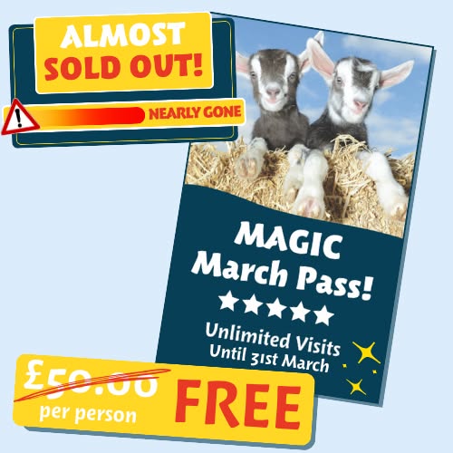 Magic March Pass - FREE Unlimited Visits✨