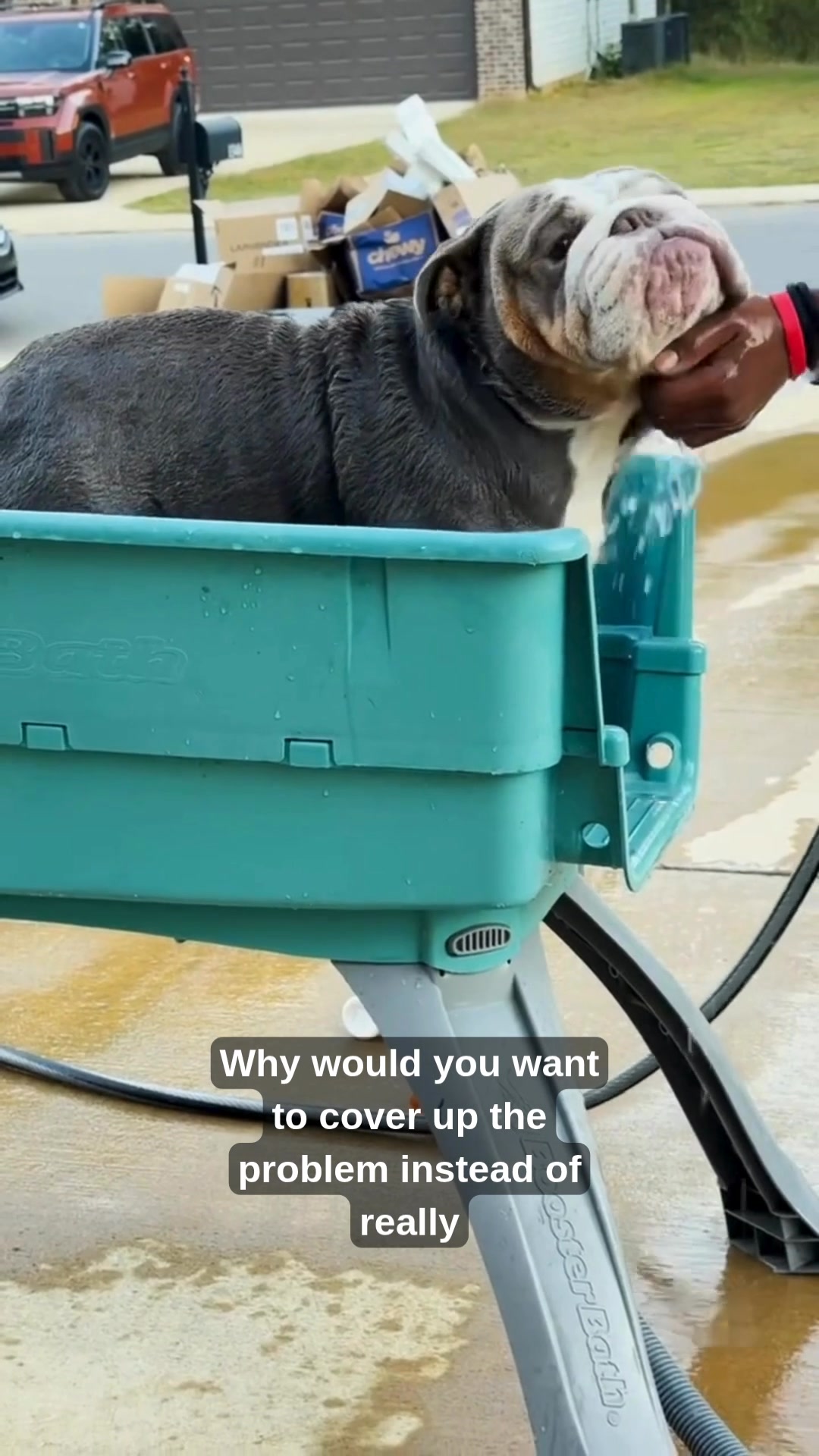 Do baths make your dog smell worse?