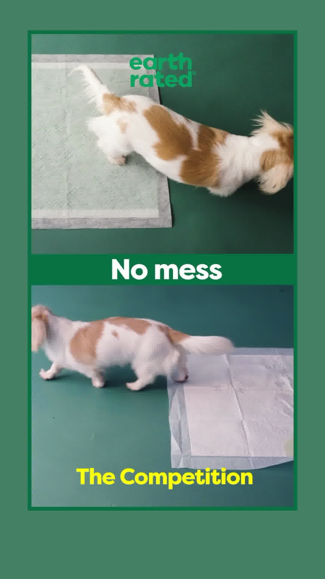 Free Shipping Code: ERFREESHIP