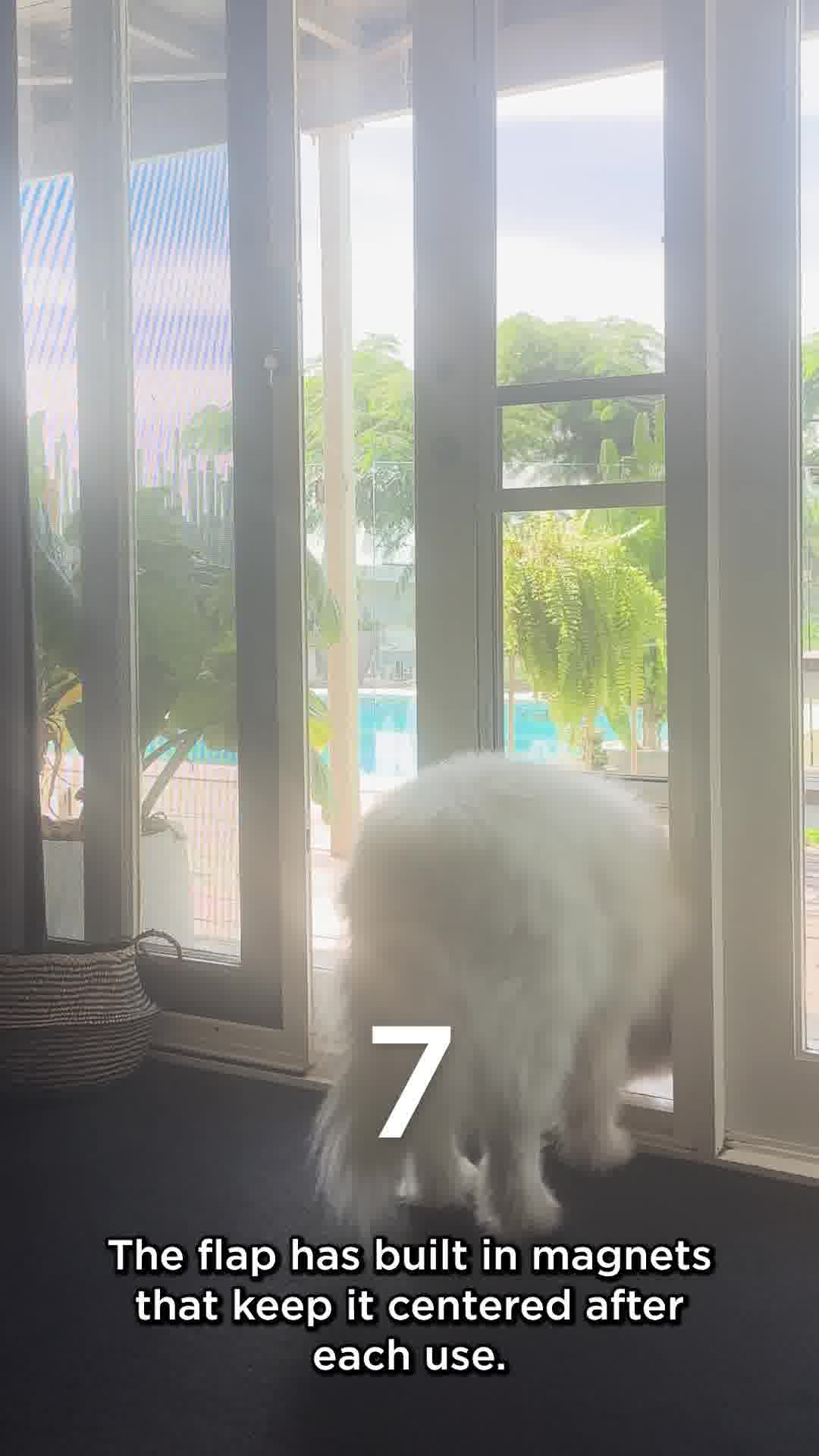 Easy to Install & Rental Safe 🐾