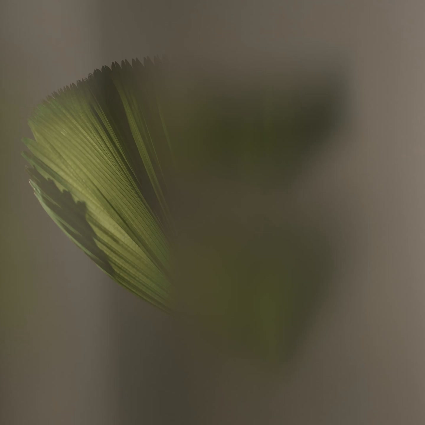 Style your space with natural artistry