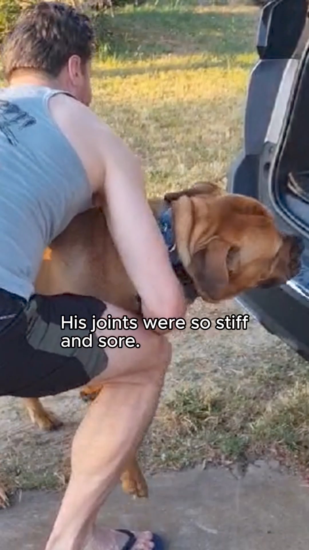 Miss Play Time With Your Dog?