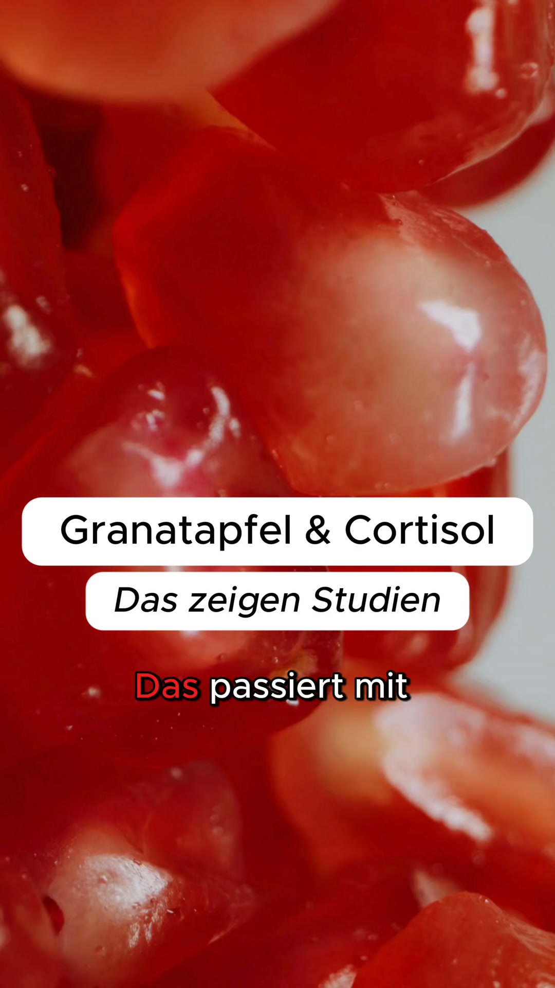 Unterstützung bei hohem Cortisol